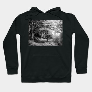 Hansel and Gretel Hoodie